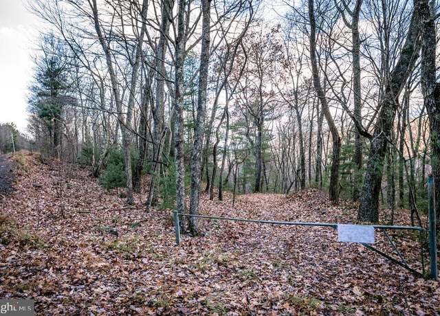 Property at Lot 22 Buck Ridges Rd, Franklin, WV 26807