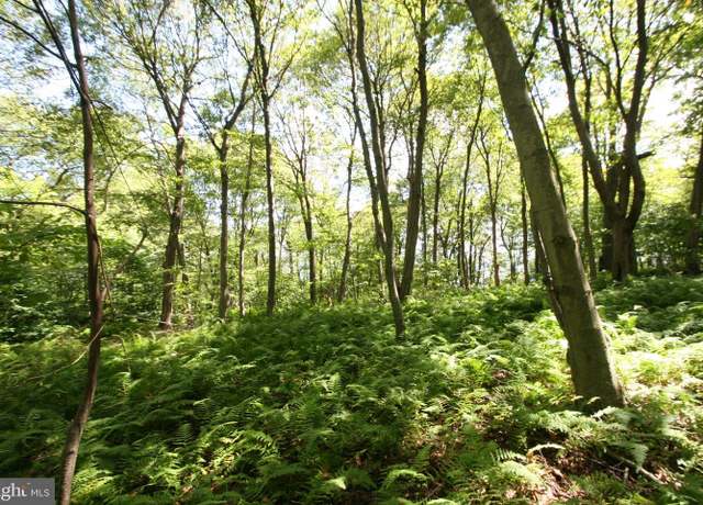Property at 000 Leidig, Three Springs, PA 17264