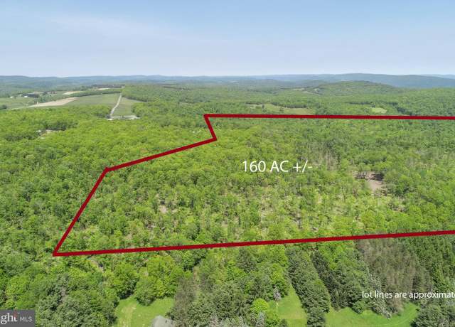 Property at 2026 Spring Lick Rd, Swanton, MD 21561