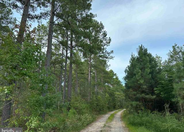 Property at Hustle Road (tract: Jacks Fork), Hustle, VA 22476