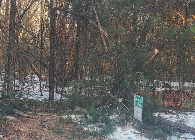 Property at Shiloh Church Rd, Newburg, MD 20664