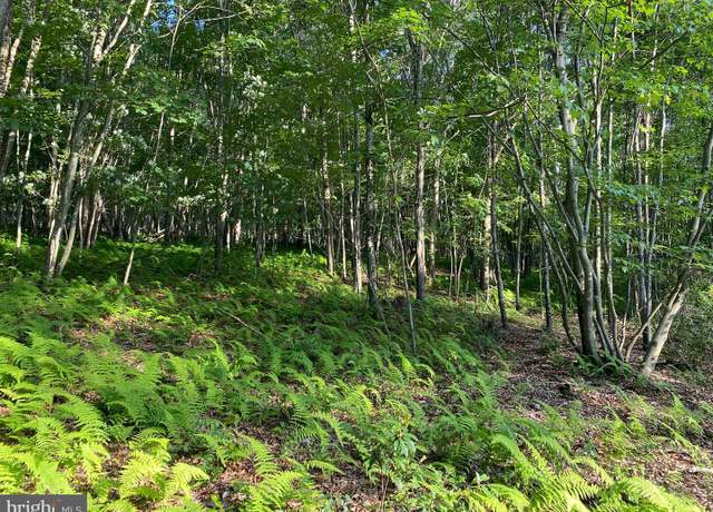 Property at 2.28 AC Thorn Btm, Lost River, WV 26810
