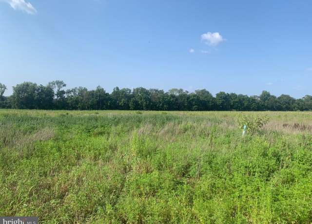 Property at 0 Gouldtown Woodruff Rd, Bridgeton, NJ 08302