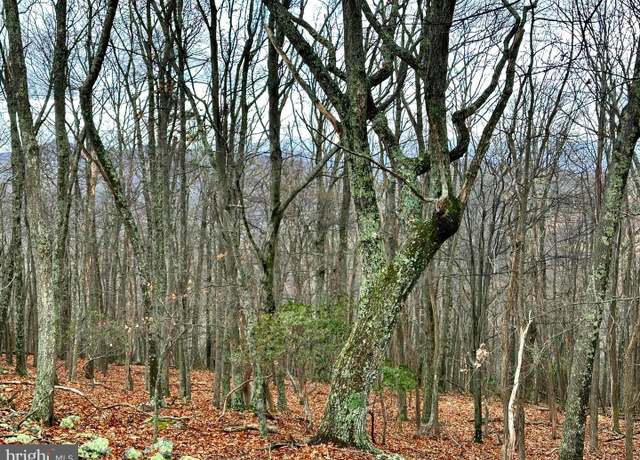 Property at Lot 32 Boonedock Dr, Upper Tract, WV 26866