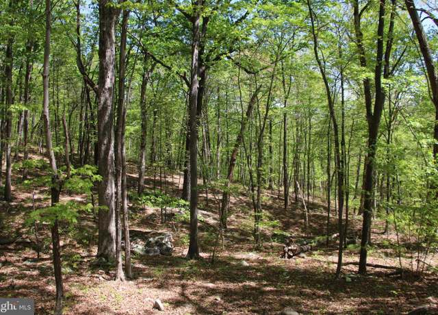 Property at N Egypt Bend Rd, Luray, VA 22835