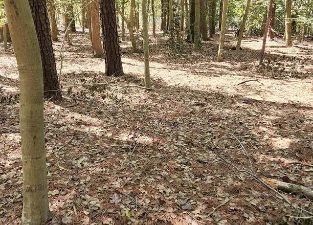 Property at 00 New Rd, Mcdaniel, MD 21647