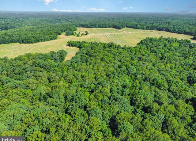 Property at Lot 19 Salem Church Rd, King George, VA 22485