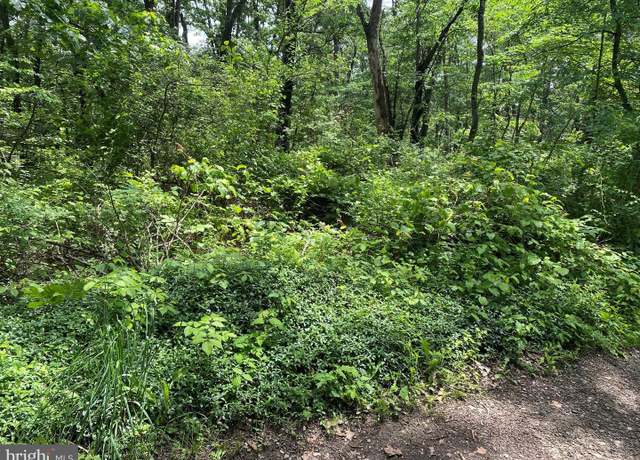 Property at Oakwood St, Cumberland, MD 21502