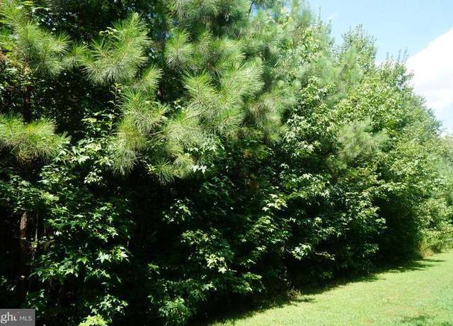 Property at Jericho Rd, Ruther Glen, VA 22546