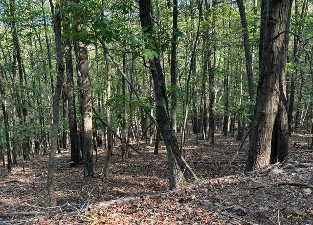 Property at 699 Chickloon Ln, Great Cacapon, WV 25422