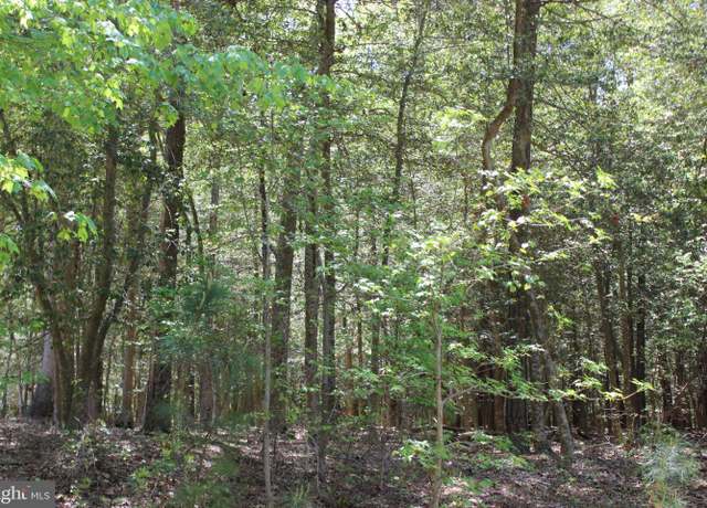 Property at 1780 Yeoman Ct, Greenbackville, VA 23356