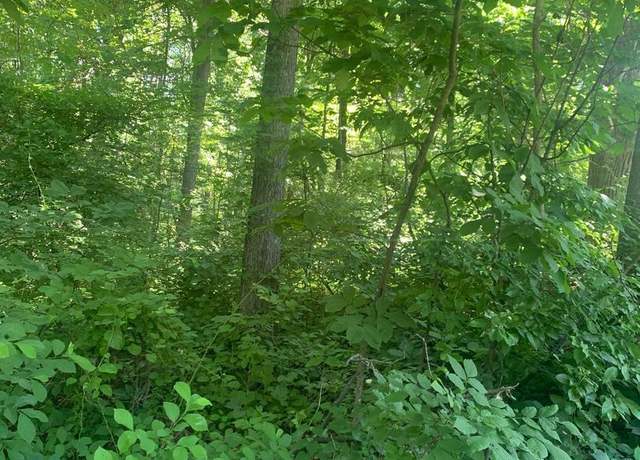 Property at Forest Rd, Front Royal, VA 22630