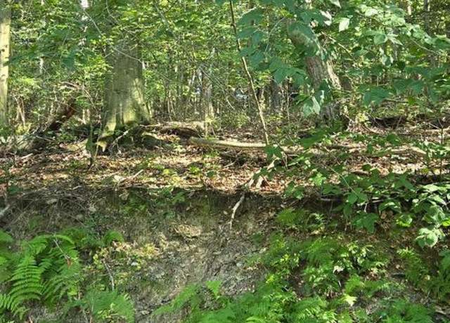 Property at 0 Ridge Rd, Cumbola, PA 17930