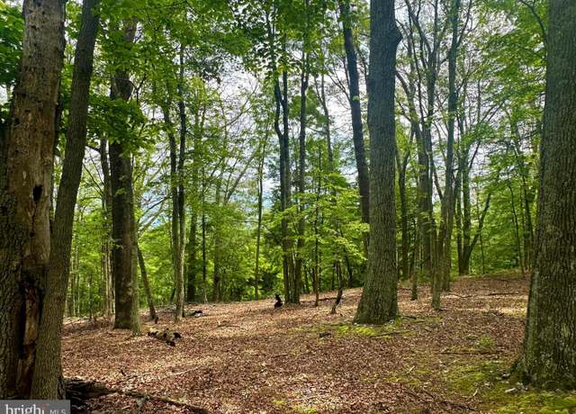 Property at 5620 High Knob Loop, Old Fields, WV 26845