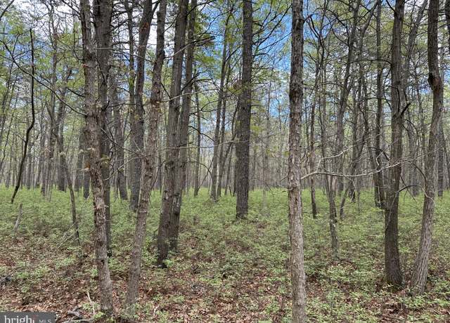 Property at 0 Granville Dr, Little Egg Harbor Twp, NJ 08087