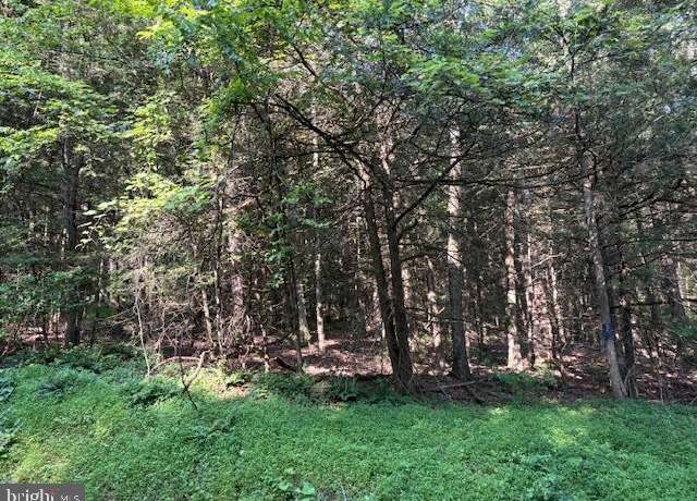 Property at Lot on Schencks Grove Rd, Howard, PA 16841