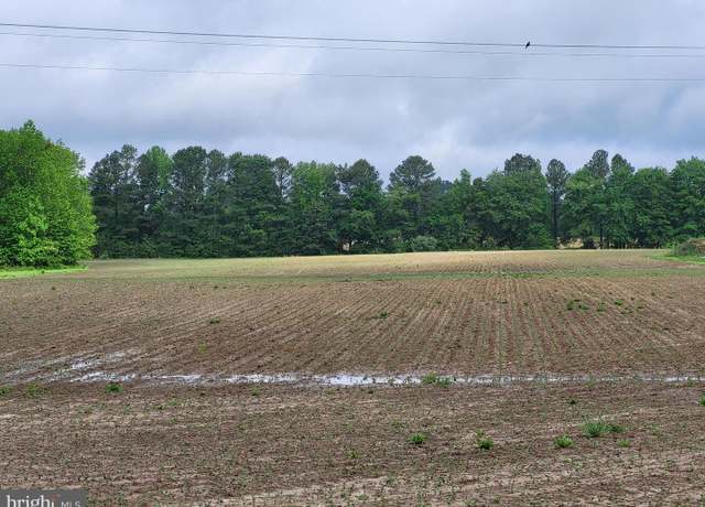 Property at Lot A Blades Rd, Cordova, MD 21625