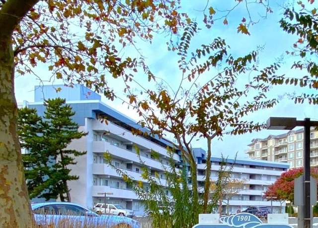 Property at 7901 Coastal Hwy Unit B204, Ocean City, MD 21842, 3 beds, 2 baths