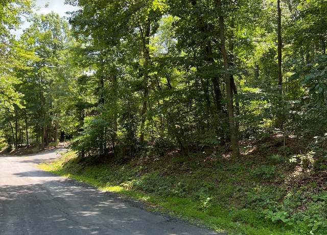 Property at TBD Willow Ln, Mount Jackson, VA 22842