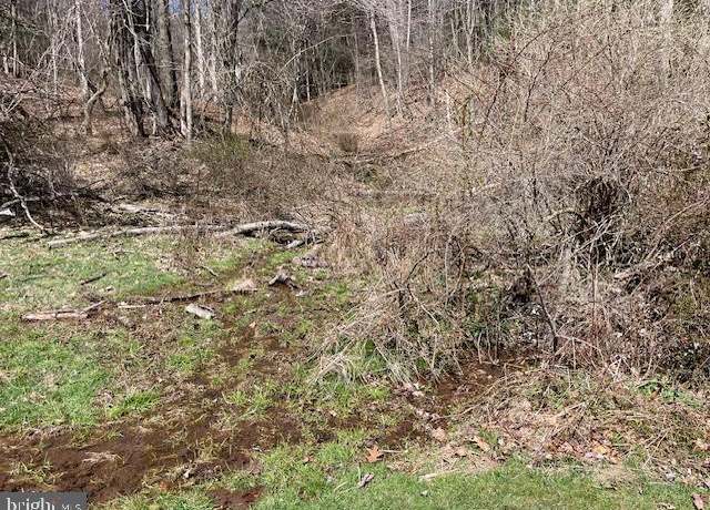 Property at 0 Brandonville 66, Zion Grove, PA 17985