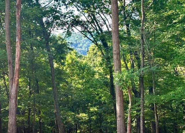 Property at Lot 302 Winterberry Dr, Moorefield, WV 26836