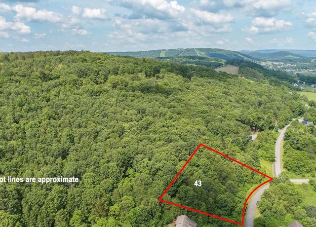 Property at 43 Smiley Face Ln, Mc Henry, MD 21541