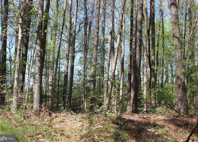 Property at 2086 Cutlass Ct, Greenbackville, VA 23356