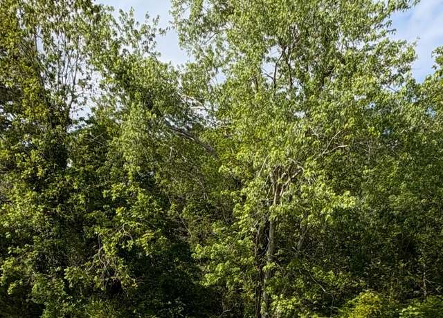 Property at 0 Davis Rd, Marion Station, MD 21838