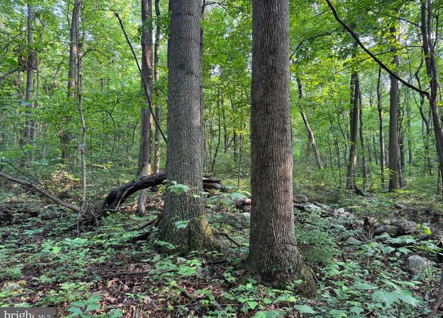 Property at 5.5+/- ACRES Mountain Green Rd, Willow Hill, PA 17271