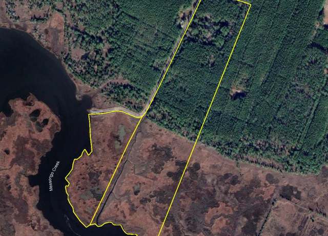 Property at 0 Route 698, Hallwood, VA 23359