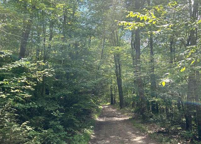 Property at 0 Wagner Gap Rd, Mcclure, PA 17841
