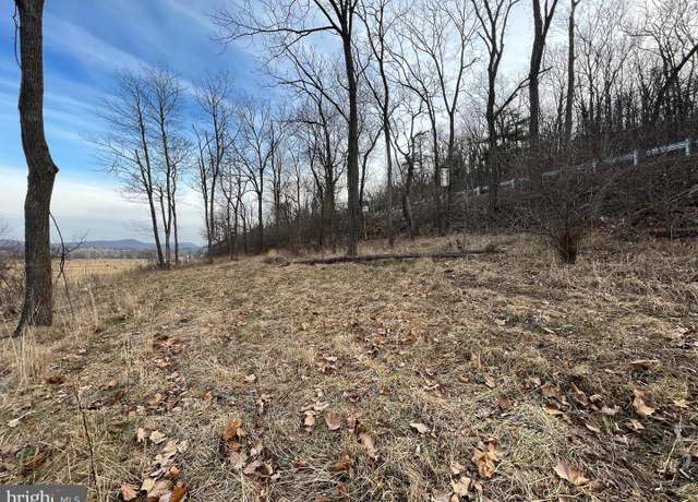 Property at TBD Hummingbird Lane Ln Lot 1A, Capon Bridge, WV 26711