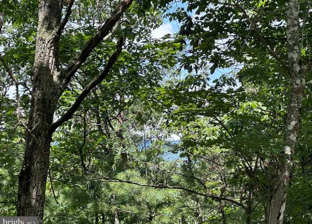 Property at Lot 24 Mt Snow Ct, Basye, VA 22810