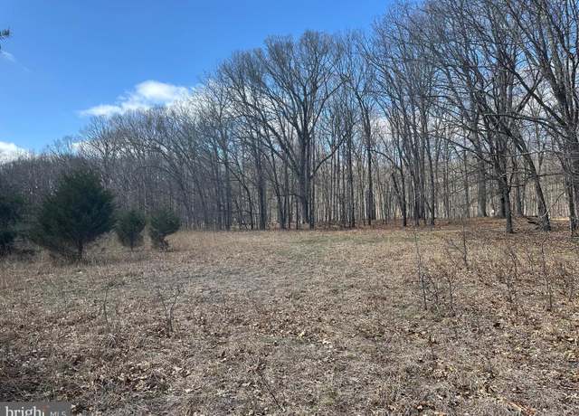 Property at 29.72 AC Pauls Woods Rd, Delray, WV 26714