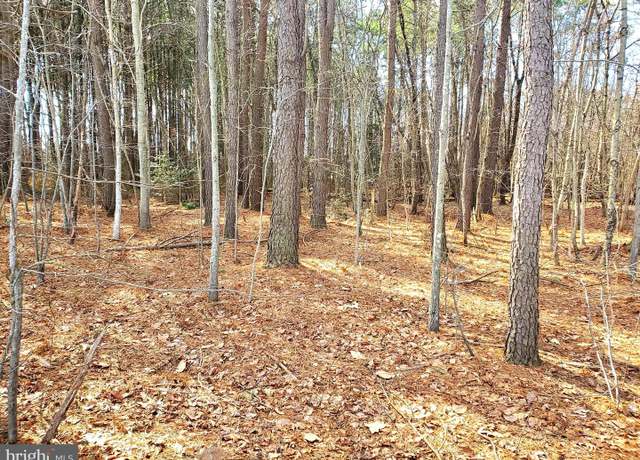 Property at Gravel Branch Rd, Hurlock, MD 21643