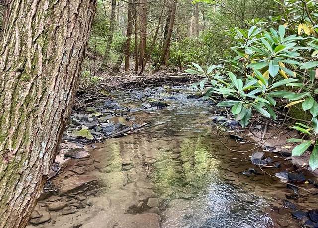 Property at 22 Beech Creek Mountain Rd, Beech Creek, PA 16822