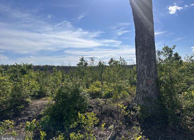 Property at 0 Mt Holly Rd, Montross, VA 22520