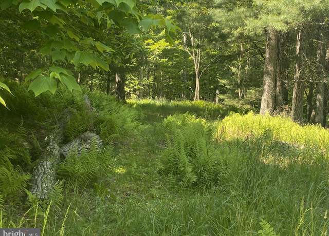 Property at Rt 23 (sharp Ridge), Lot #3, Franklin, WV 26807