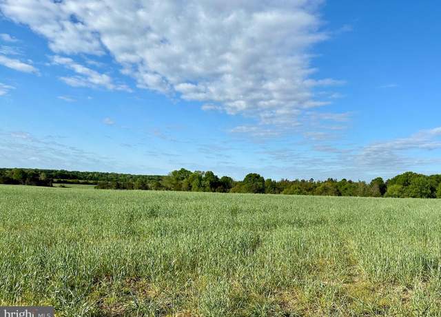 Property at Lot 8 Zachary Taylor Hwy, Unionville, VA 22567