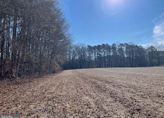 Property at Beaver Dam Rd, Trappe, MD 21673