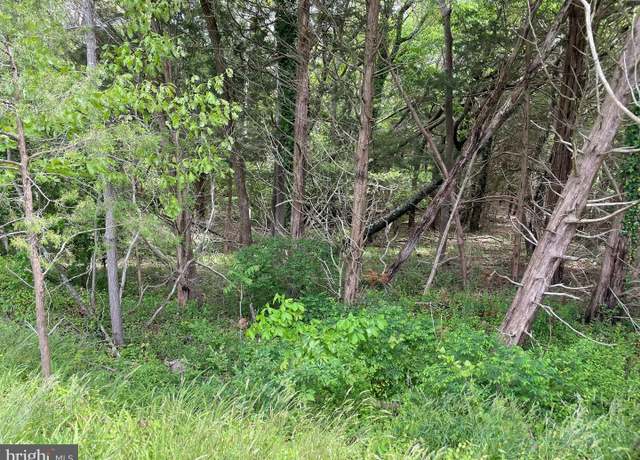 Property at 0 Main St, Little Egg Harbor Twp, NJ 08087