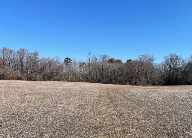 Property at lots 1-4 Beaver Dam Rd, Trappe, MD 21673