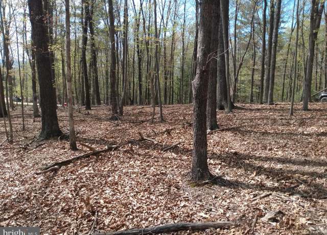 Property at Lot 50 Birch Grove Ln, Berkeley Springs, WV 25411