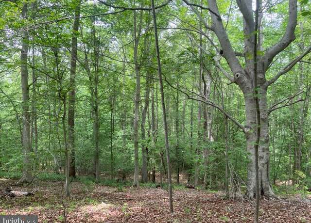 Property at 7575 Mason Springs Rd, La Plata, MD 20646