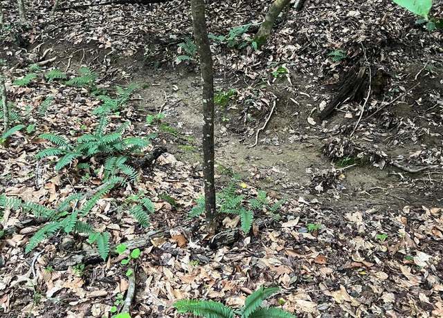 Property at Lot 27 Salem Church Rd, King George, VA 22485