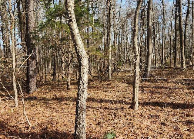 Property at Lot 69 Plantation, Montross, VA 22520