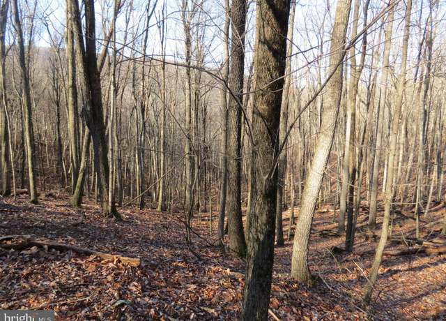 Property at 14A Cedarwood Drive Rd, Mathias, WV 26812