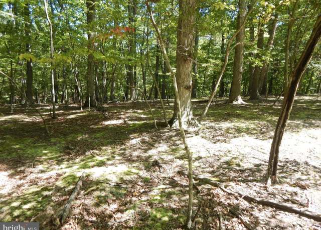 Property at Sideling Mountain Trl, Great Cacapon, WV 25422