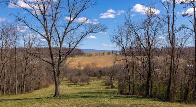 Photo of 0 Holman Creek Ln, Timberville, VA 22853