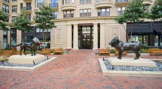 Photo of 7710 Woodmont Ave #303, Bethesda, MD 20814